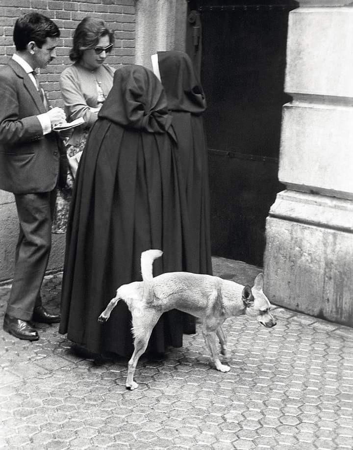 Nuns peed on by dog (with a dirty habit) on their tunics in Madrid (…Photographer is going to hell for not saying anything); Photo: Keystone Photos Agency; Spain – Madrid, 1960 [720×917]