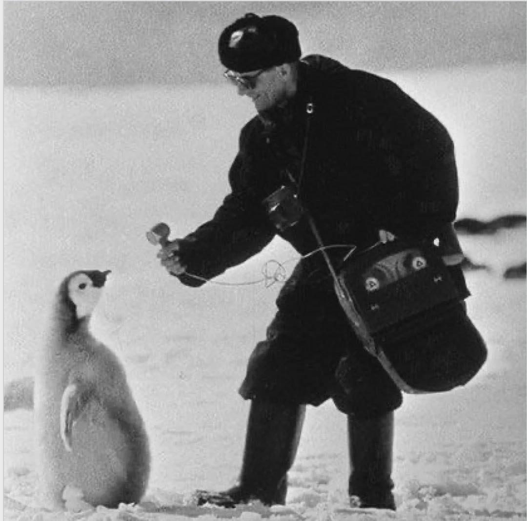 A Moscow journalist interviews a penguin, 1966. [1080×1067]