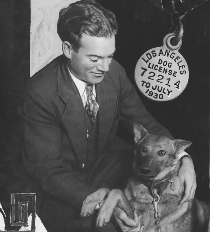 Officer McNary with arrested dog, 1930. When the district attorney’s dry squad raided a liquor cache, they didn’t find any suspect but dog on guard. Officers arrested the dog and tried tracing the dogs owners through license tag.[722×800]