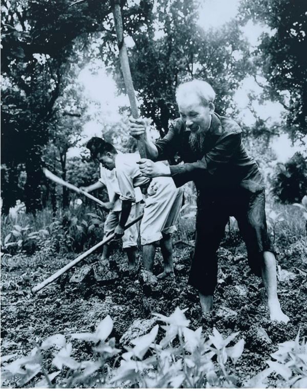 Ho Chi Minh working in the fields with farmers in 1957 [600 x 764]
