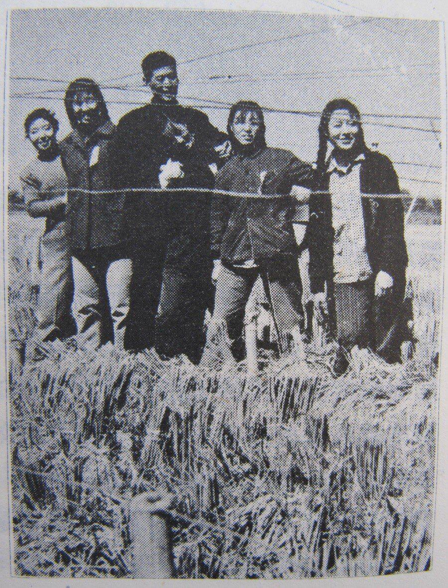 A 1959 propaganda photo produced by Chinese officials in Shandong during the ‘Great Leap Forward.’ The staged photo purported to show a wheat harvest so bountiful that it could support multiple people’s weight, in reality they were held up by a bench covered in wheat from multiple fields (1181×900)
