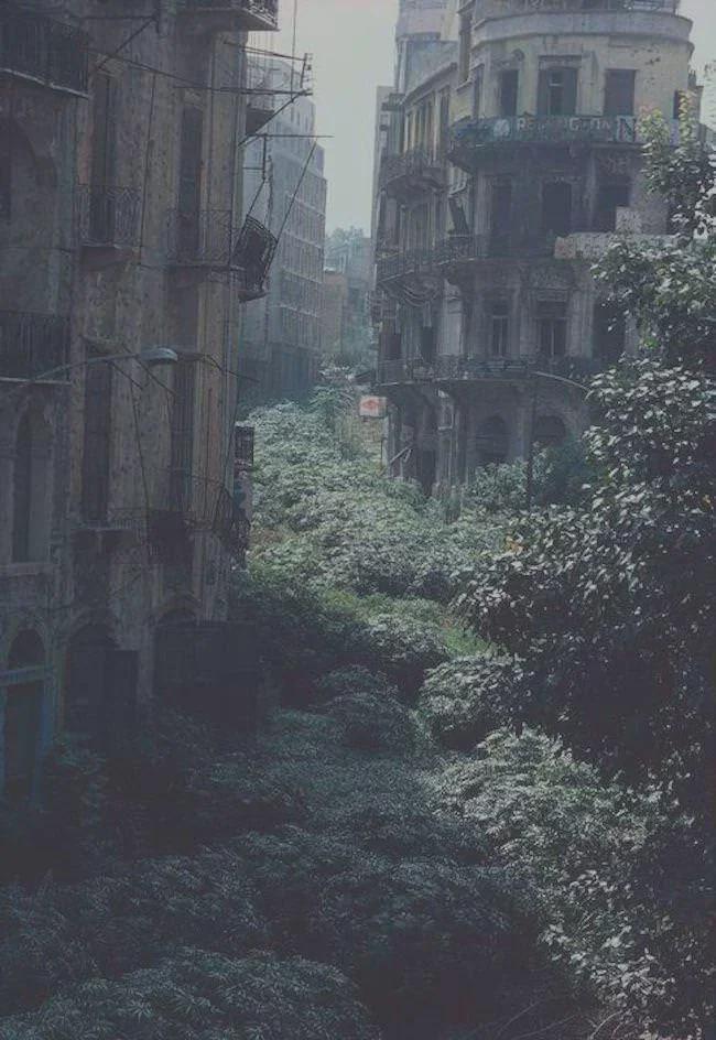 The Green Line demarcation zone, Beirut, Lebanon, 1982. [650×944]