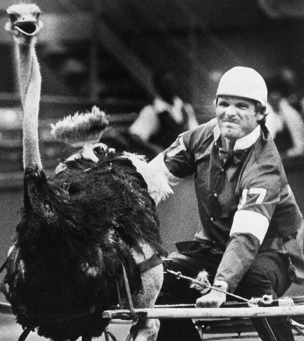 Atlanta Braves owner Ted Turner races an ostrich as part of a promotion in 1976 [599×672]
