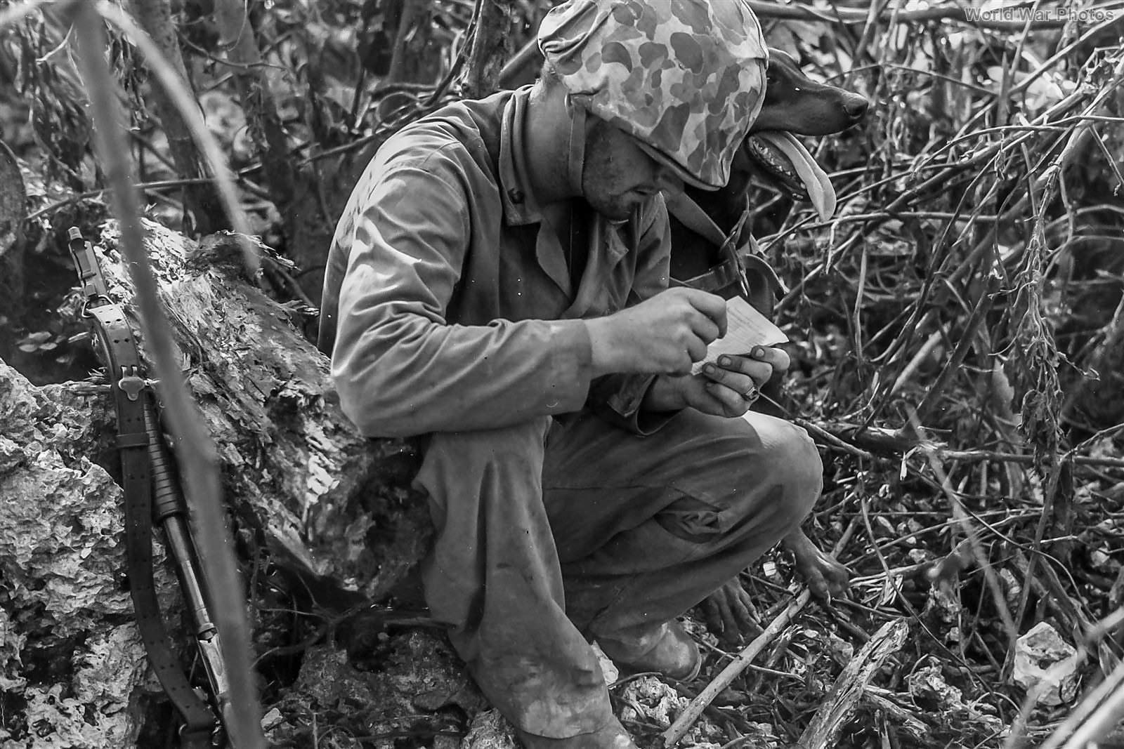 Marine Dog Handler with Model 1897 Winchester Shotgun, Peleliu, November 1944. [1600×1087]