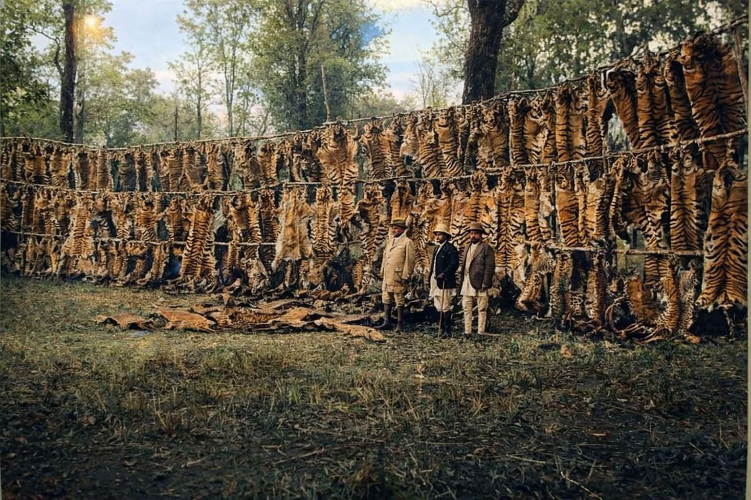From the 1930s, when Nepal’s king Juddha Shumsher went on a hunting expedition. [1536×1024]