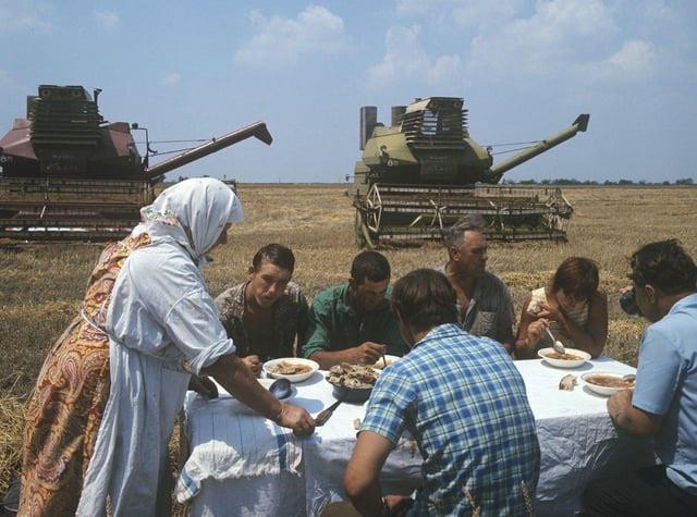 Farm workers having lunch near combine harvesters – during harvest season in the Kherson Oblast, Ukrainian SSR, Soviet Union, c. 1973. [640 x 475]