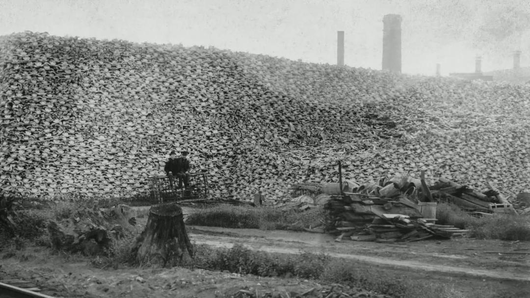 Bison Bones: Detroit Carbon Works, 1873. Known for producing animal charcoal from bones, which was used in various products like glue and fertilizer. [1080×607]