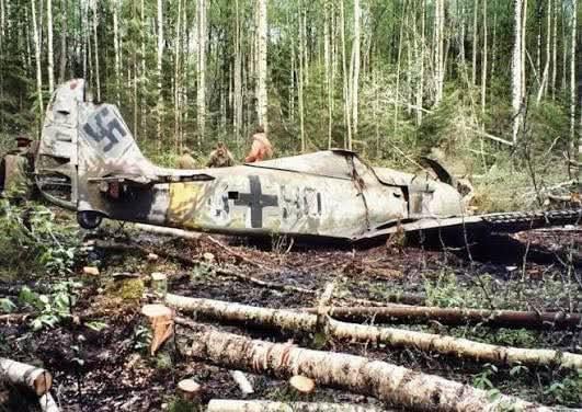Focke-Wulf Fw 190A-5 fighter aircraft, from the 4th Staffel of Jagdgeschwader 54 (4./JG 54) of the Luftwaffe – discovered in the Leningrad Oblast, Soviet Union, photo from 1989. [531 x 376]