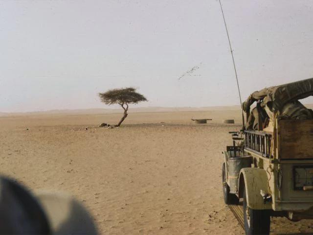 The Tree of Ténéré was a solitary acacia in Niger, once considered the most isolated tree on Earth. A longtime landmark for Sahara caravans, it stood for about 300 years, until a drunk Libyan truck driver knocked it down in November 1973. [640×480]