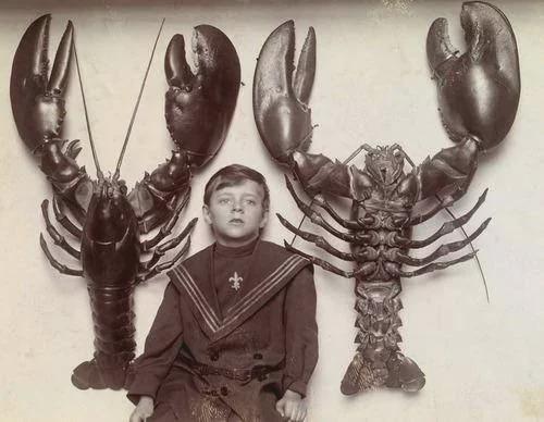 A boy between two mounted lobsters caught off the New Jersey coast, 1916. [500×388]
