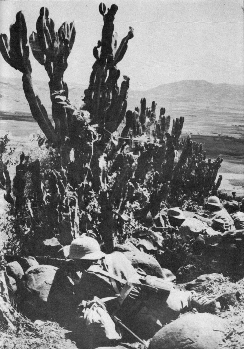 South African infantry using a cactus hedge as concealment during their surprise outflanking of Italian defenses at the Battle of Combolcia, Ethiopia, 22 or 23 April 1941. [800×1143]