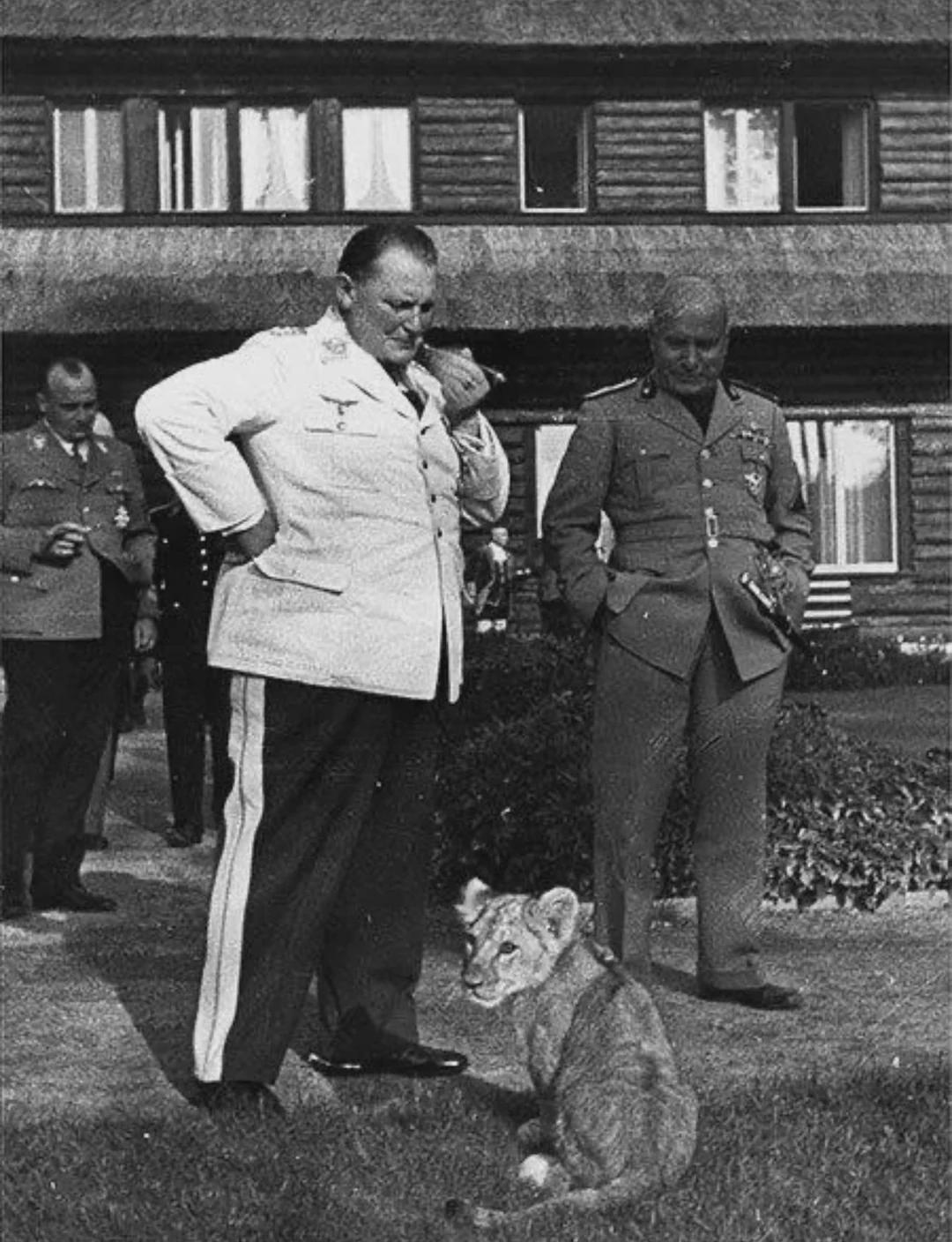 Hermann Göring and Benito Mussolini with Göring’s pet lion, September 1937. [1080×1408]