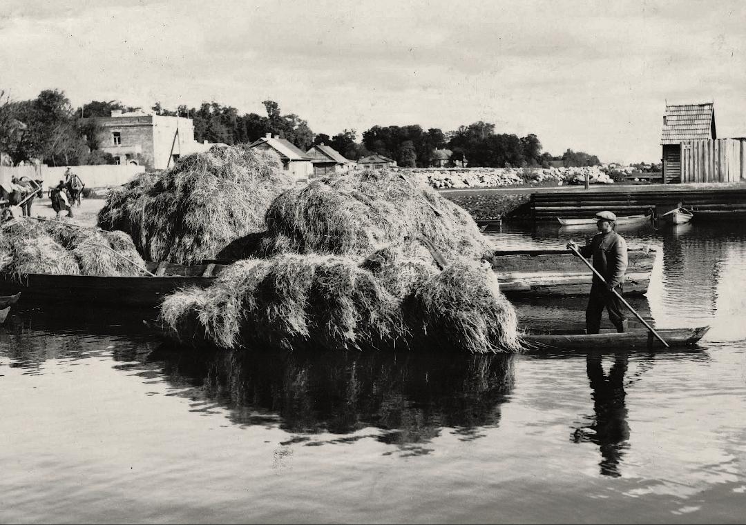 Hay trade in Pińsk, Poland (now Belarus), 1934. Photo by Louise Arner Boyd. [1080×761]