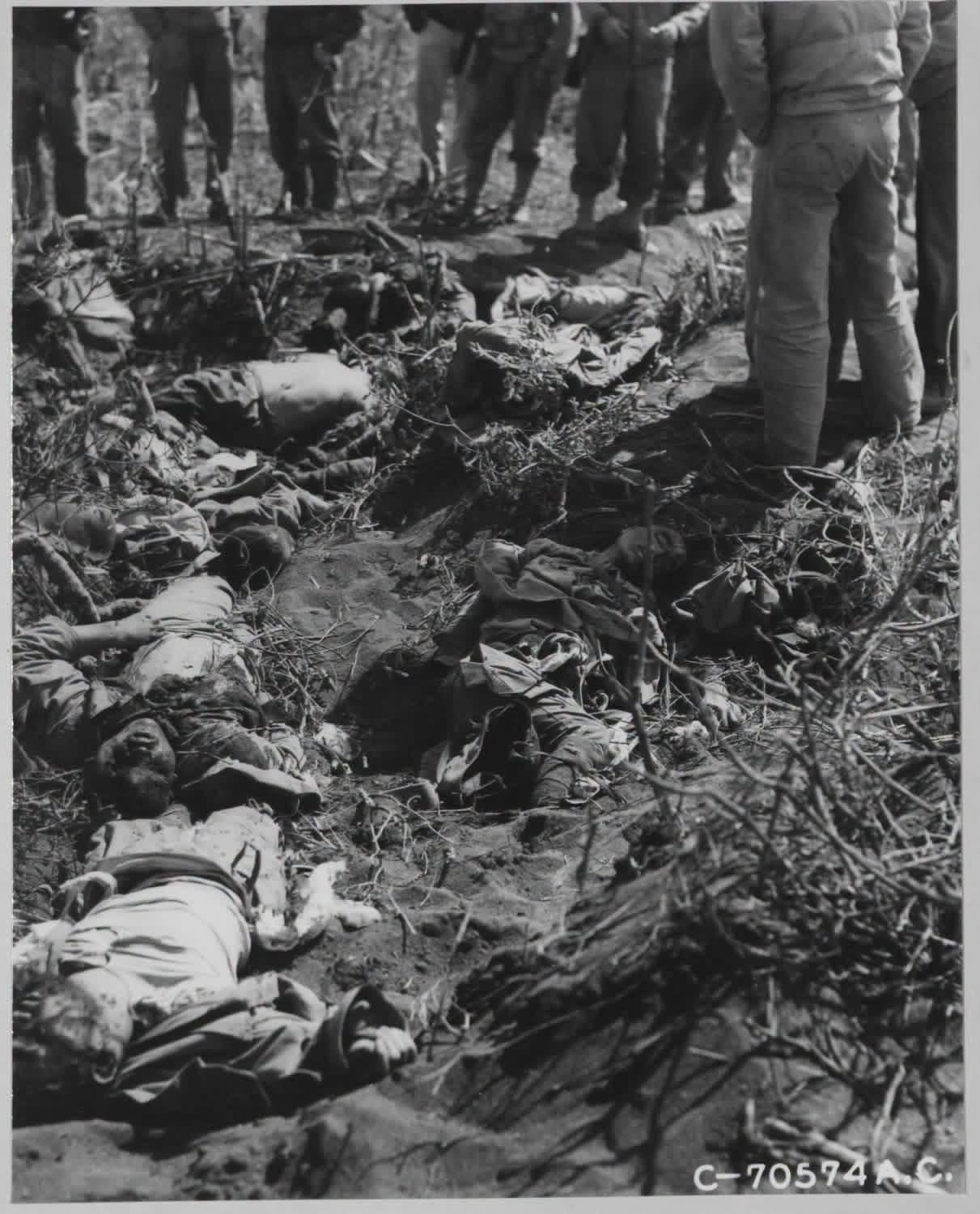 The result of the Banzai charge on Iwo Jima, March 26, 1945 [1211×1500]
