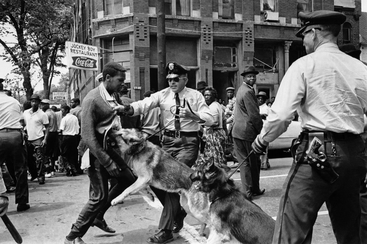 High school student Walter Gadsden being attacked by police dogs in Birmingham, Alabama during a civil Rights march in May 1963. [1024 x 763]
