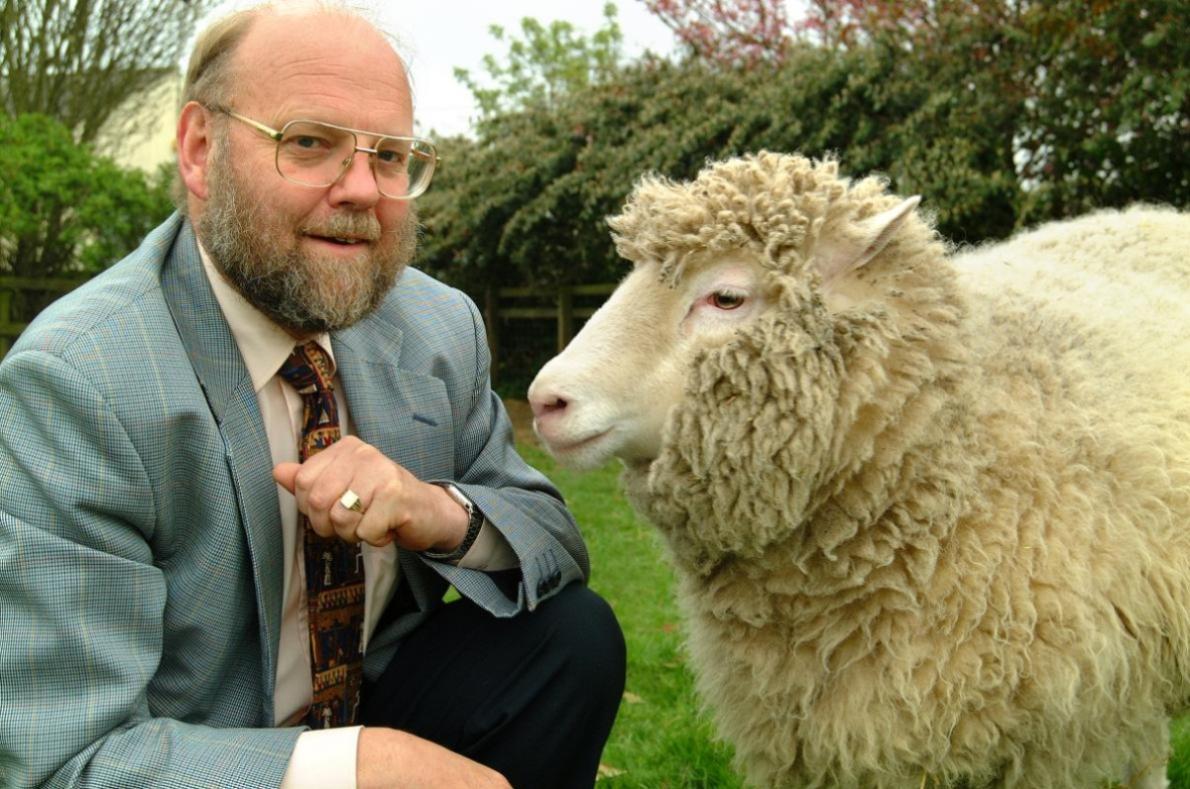 The ewe Dolly, the first mammal cloned from an adult somatic cell, with its creator Sir Ian Wilmut. Roslin Institute, Midlothian, Scotland, United Kingdom. Early 2000s [1190×789]