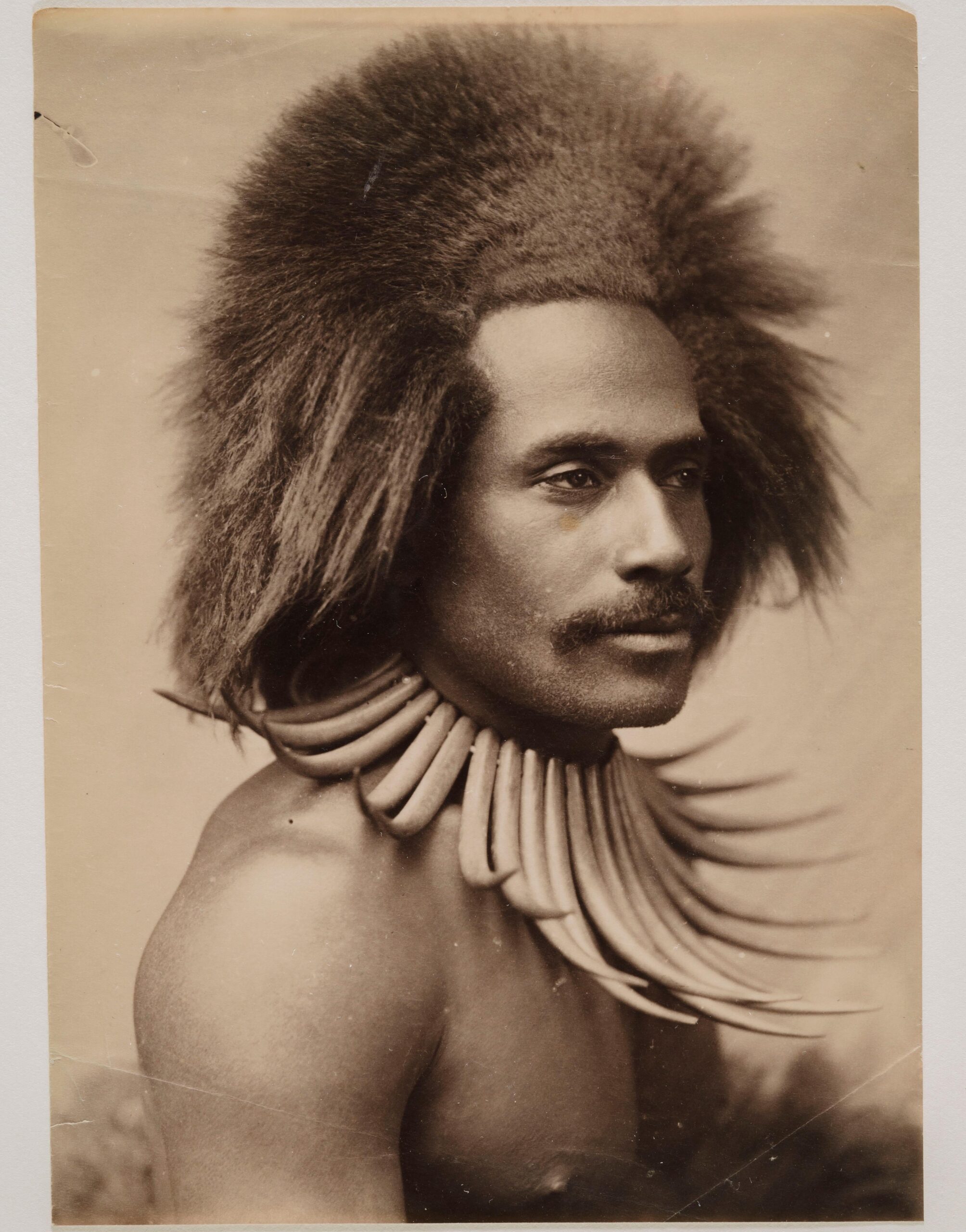 Photo of a Fijian man with whale tooth necklace. Taken by John William Waters. Fiji, 1884 [4000×5100]