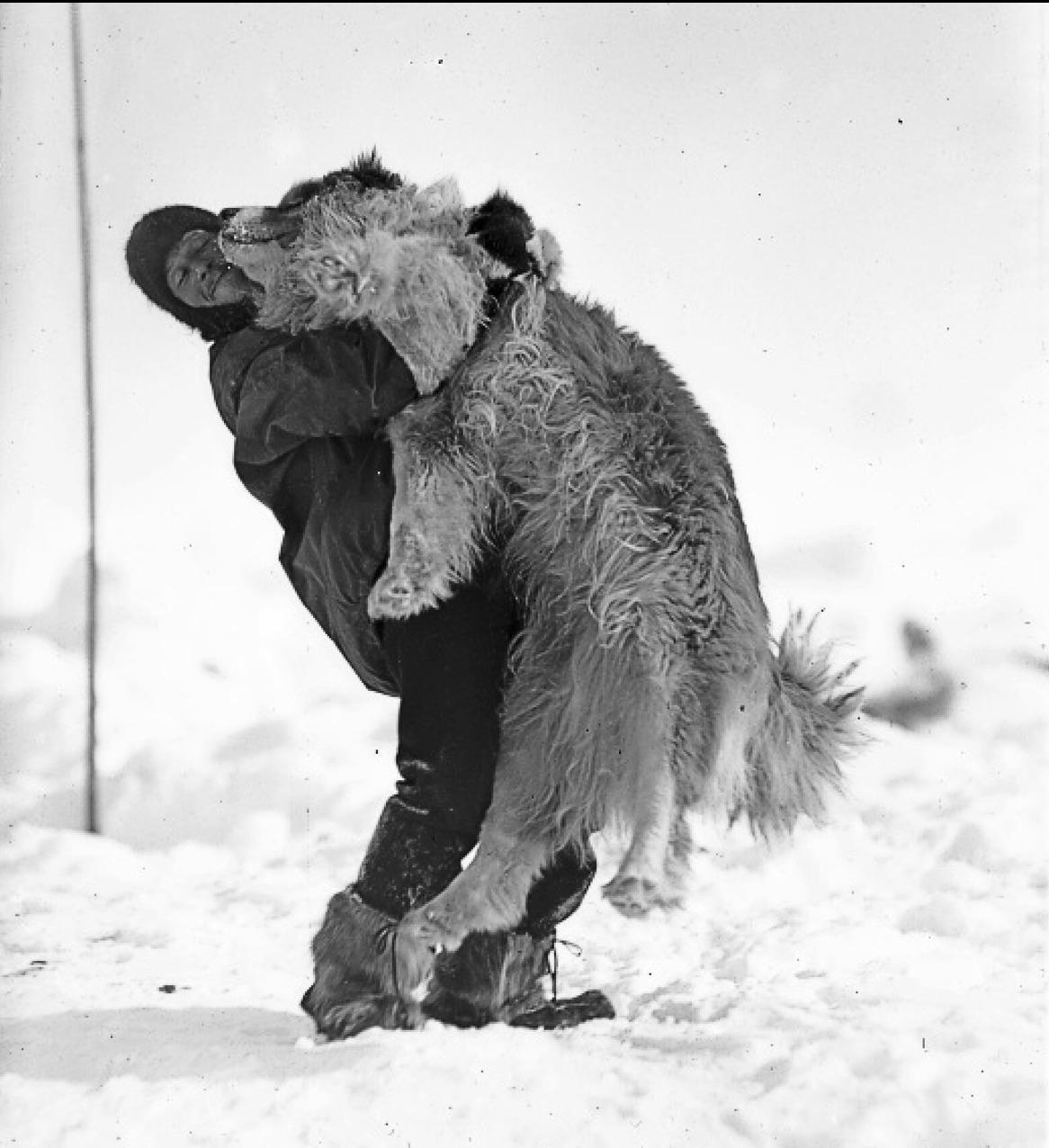 An Endurance expedition crewman embraces one of the expedition’s sled dogs in Antarctica. Photographed by Frank Hurley, c. 1915–1916. [1166×1266]