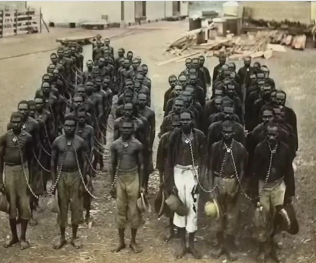 Aboriginal Prisoners Chained by British Colonizers in Australia (c. 1900) [1000 × 806]